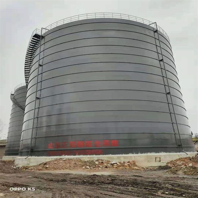 芦山3万吨大型钢板库