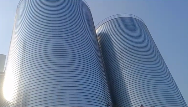 芦山2座混凝土高架卷板仓